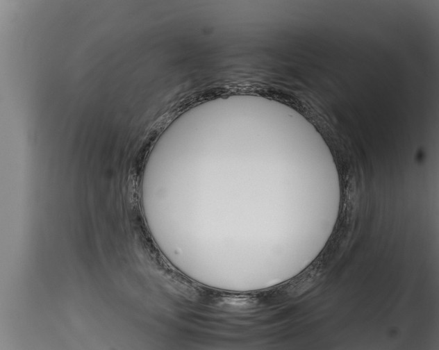 X0000116270659200911301017