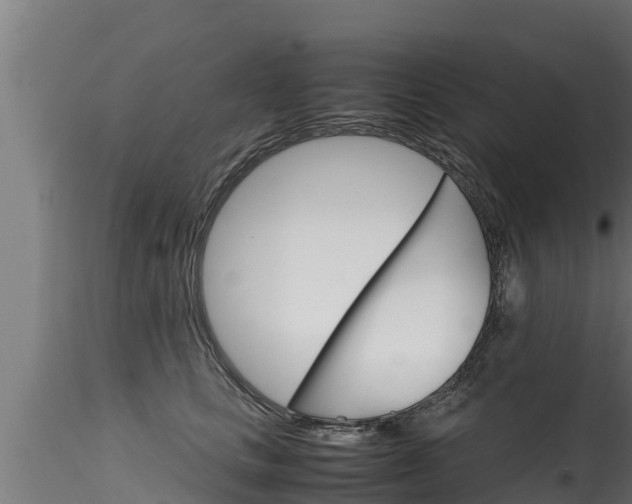 X0000116270661200911301018