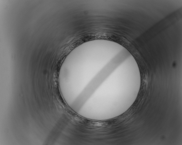 X0000116270663200911301018