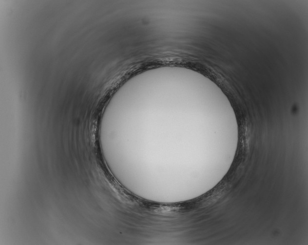 X0000116270664200911301018