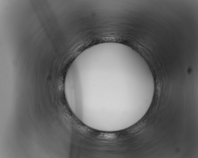 X0000116270665200911301018