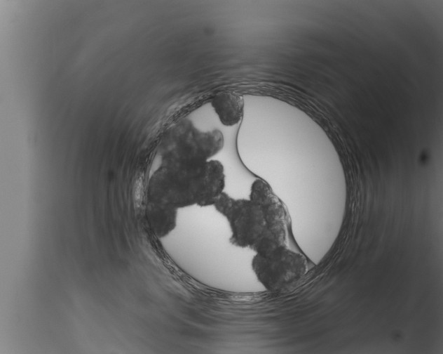 X0000116270668200911301018