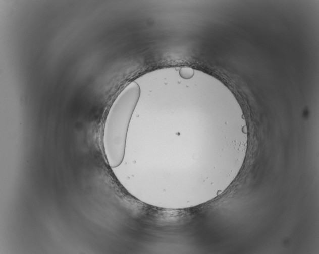 X0000116270672200911301018