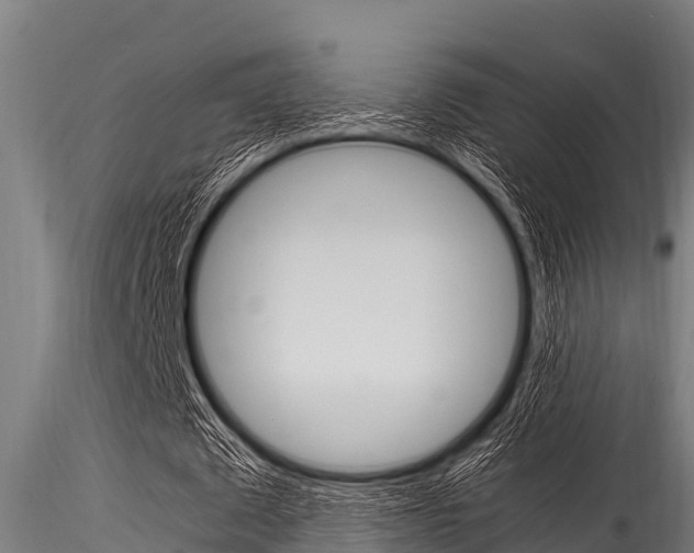 X0000116270673200911301017