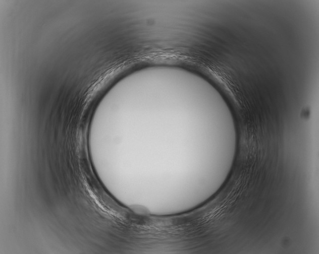 X0000116270674200911301017