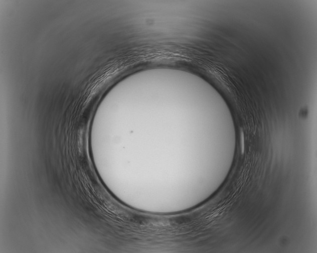 X0000116270675200911301017