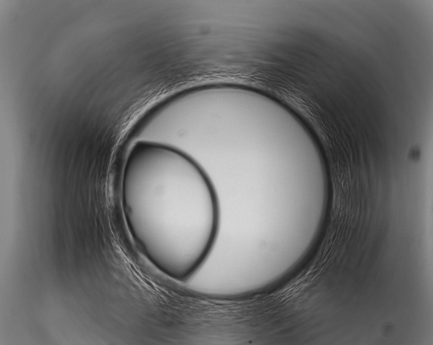 X0000116270676200911301017