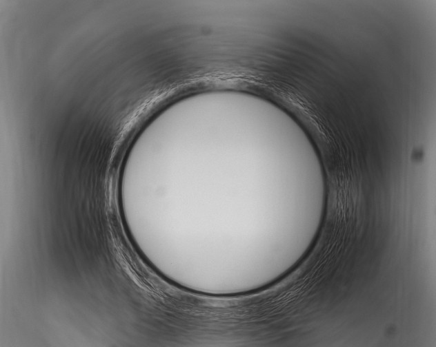 X0000116270678200911301017