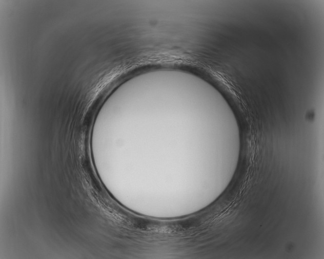 X0000116270679200911301017