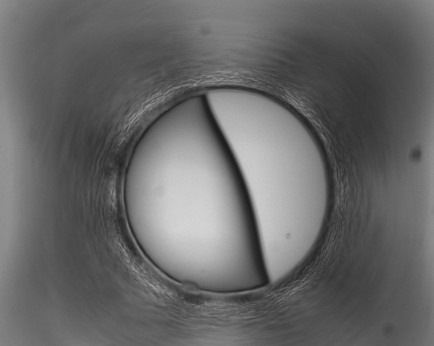 X0000116270681200911301017
