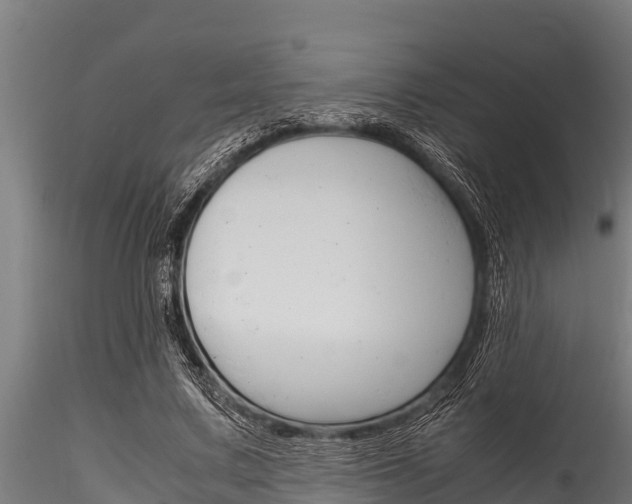 X0000116270683200911301017