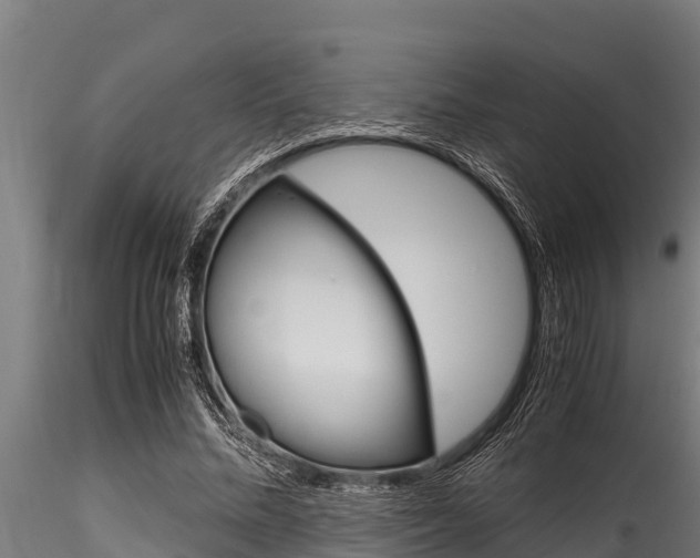 X0000116270684200911301017