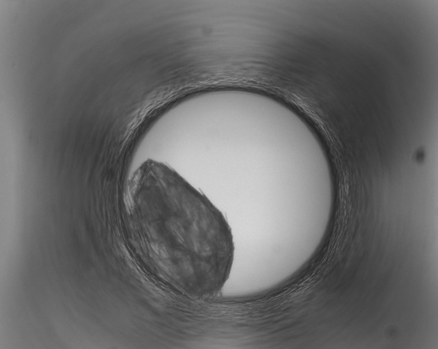 X0000116270685200911301017