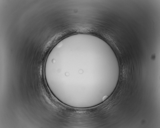 X0000116270686200911301017