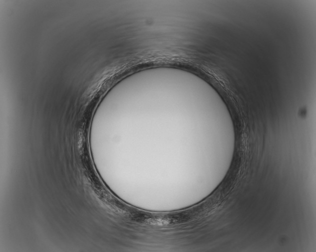 X0000116270687200911301017
