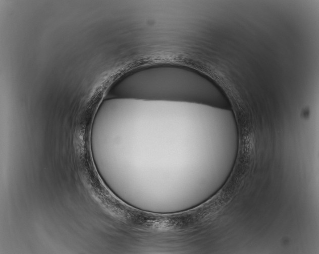 X0000116270688200911301017