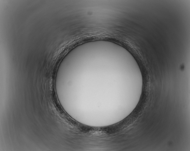 X0000116270689200911301017