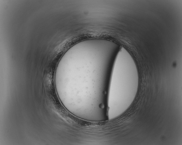 X0000116270691200911301017