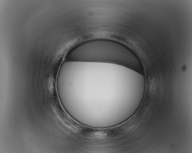 X0000116270692200911301017