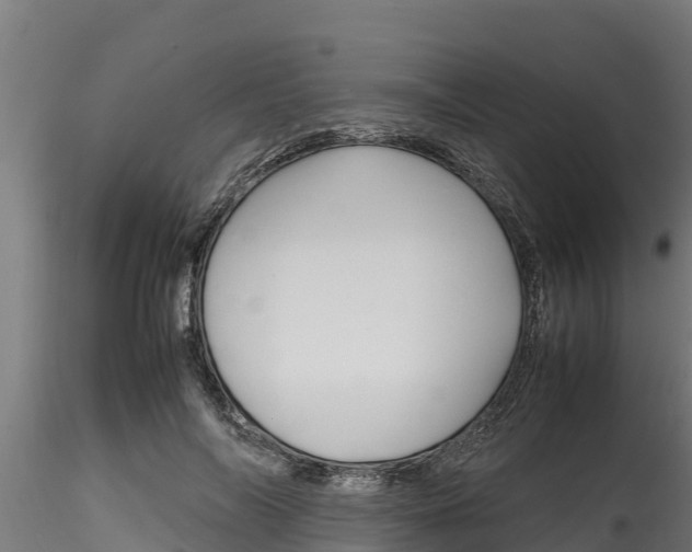 X0000116270694200911301017
