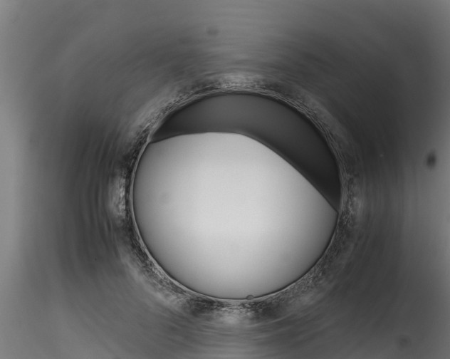 X0000116270696200911301017