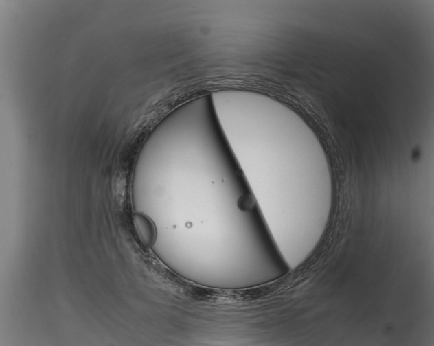 X0000116270697200911301017