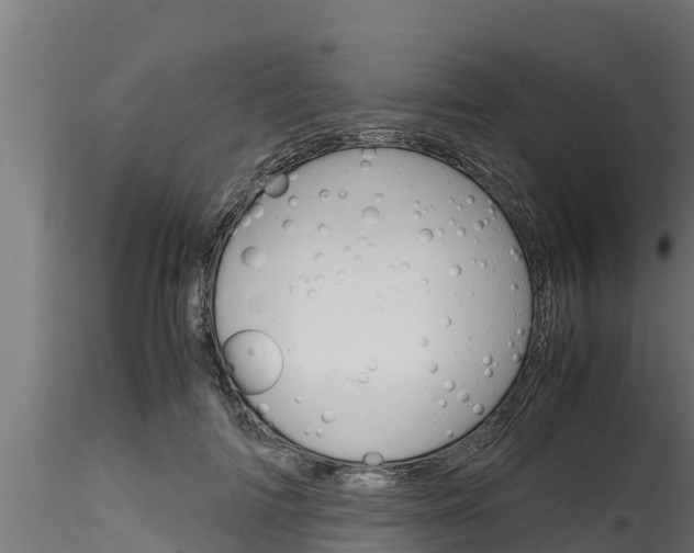 X0000116270698200911301017