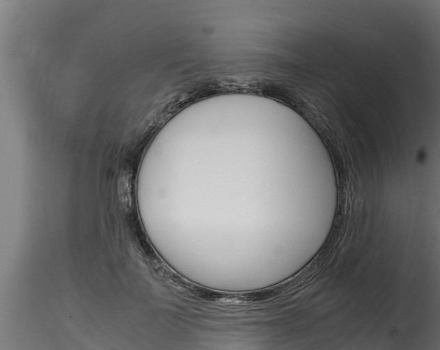 X0000116270699200911301017