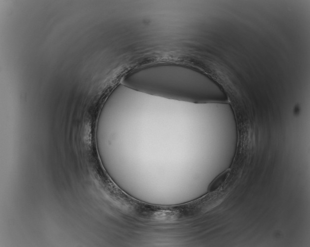 X0000116270700200911301017