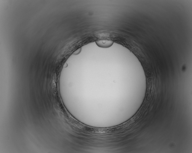 X0000116270702200911301017