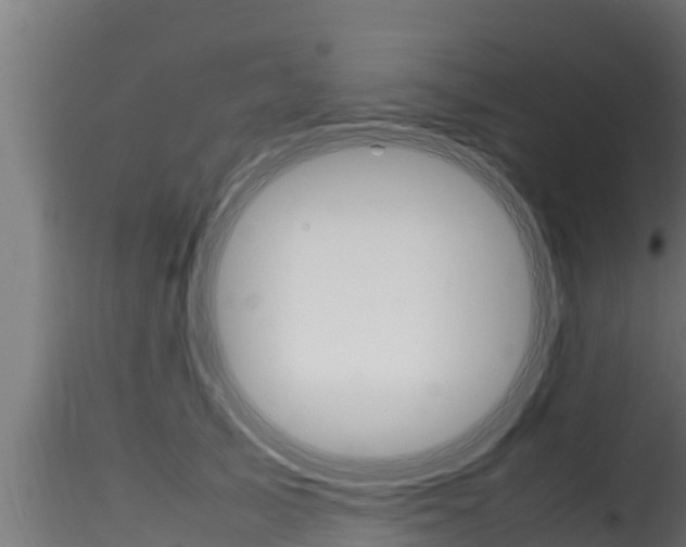 X0000116270705200911301017