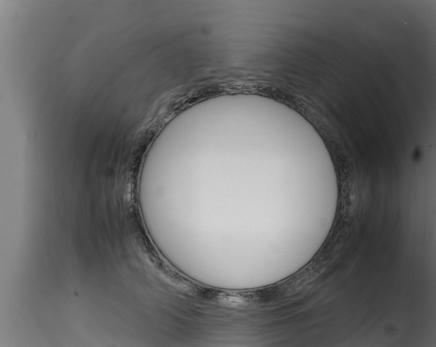 X0000116270706200911301017