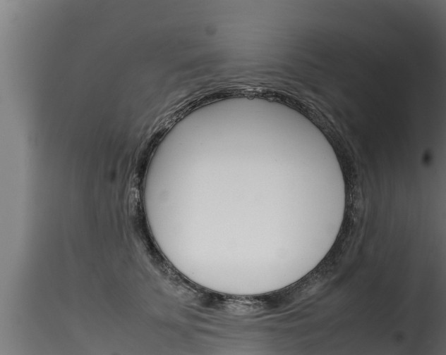 X0000116270707200911301017