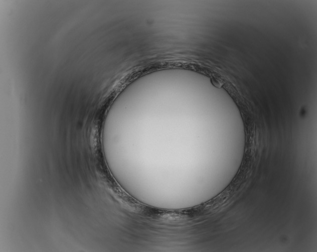 X0000116270708200911301017