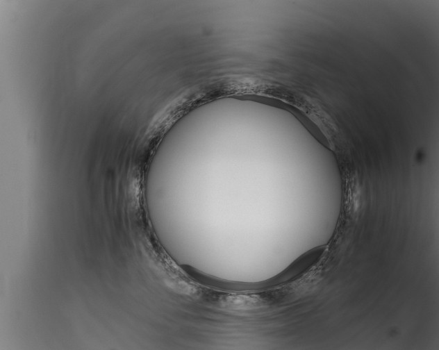 X0000116270716200911301016