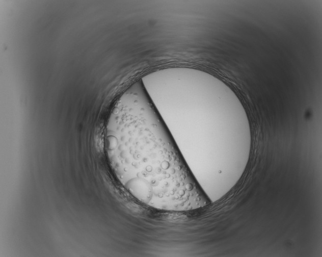 X0000116270719200911301016