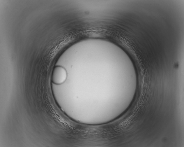 X0000116270721200911301016