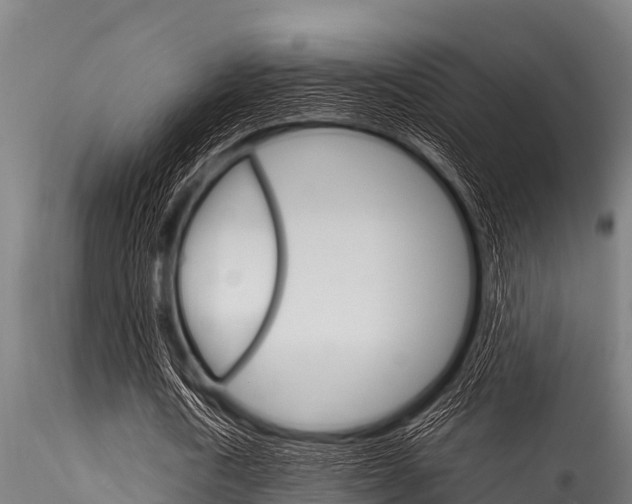 X0000116270722200911301016