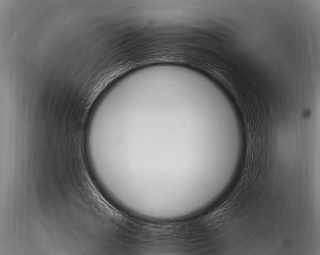 X0000116270725200911301016