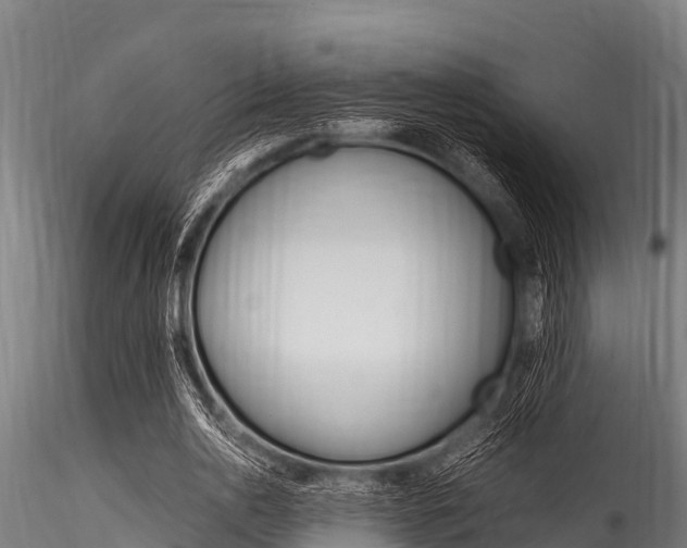 X0000116270726200911301016