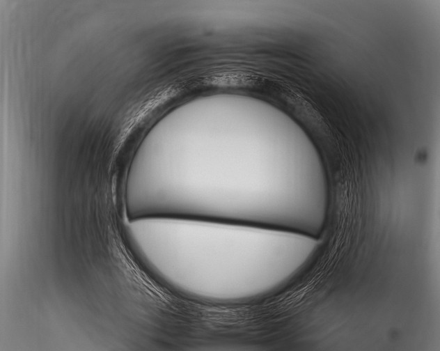 X0000116270727200911301016