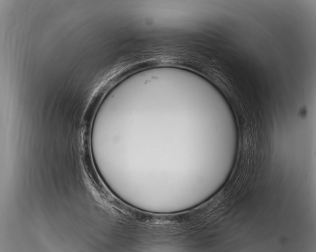 X0000116270730200911301016