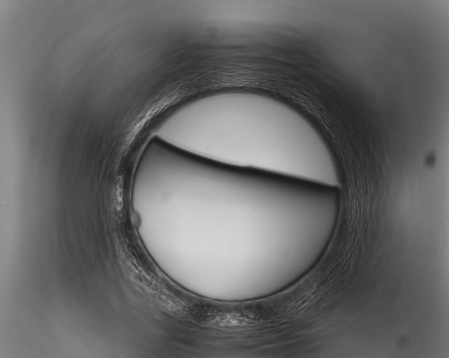 X0000116270731200911301016