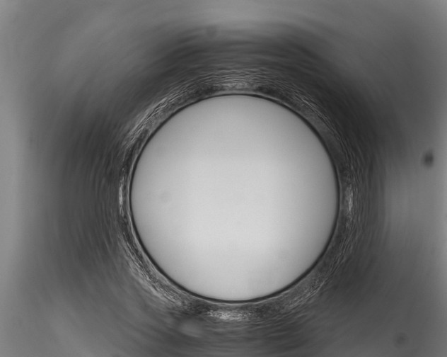 X0000116270733200911301016