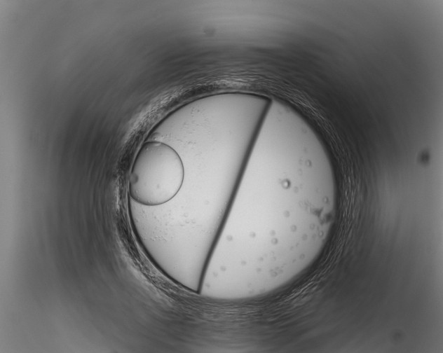 X0000116270734200911301016