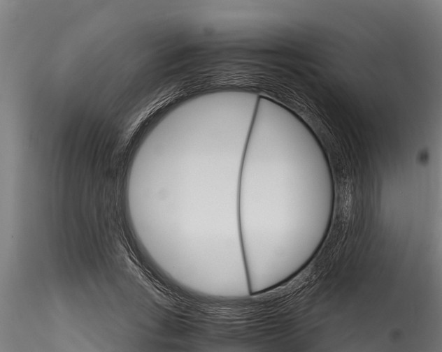 X0000116270735200911301016