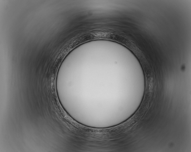 X0000116270737200911301016