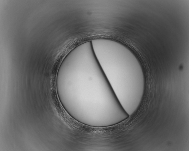 X0000116270738200911301016