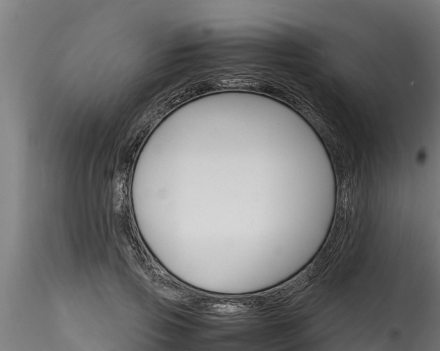 X0000116270741200911301016