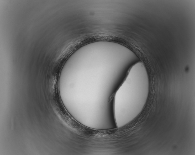 X0000116270742200911301016